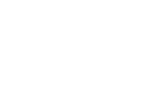 PSV (Logo)
